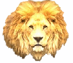 lion.gif